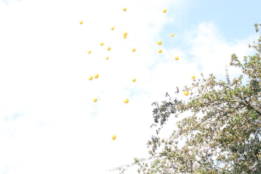 Balloons are released in front of El Dorado High School on Aug. 3 to commemorate the second anniversary of the Wal-Mart shooting. 
